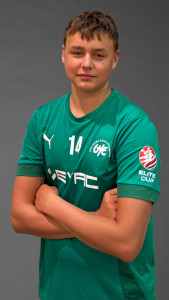 Volný