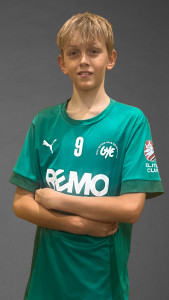 Heilmeier