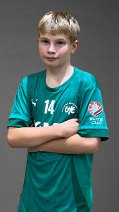 Higatzberger
