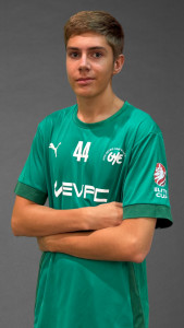 Hofbauer